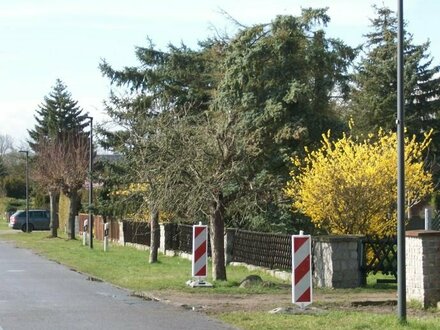 15806 Zossen/OT Dabendorf: Attraktives, baufreies Grundstück unweit der B 96, prov.