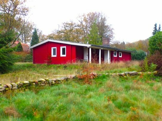 Lüneburger Heide - grosses sonniges Grundstück, für die große Familie oder als Bauprojekt