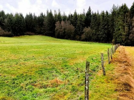 **Traumgrundstück in Ormont**