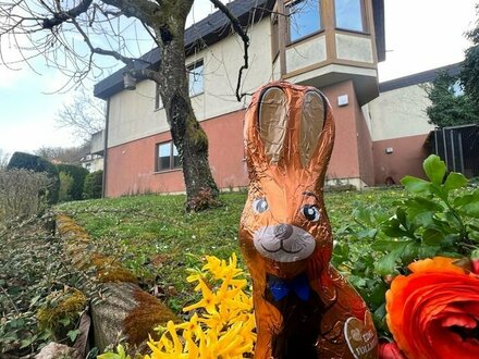 Haus mit Weitblick! Endlich Platz für die Familie...