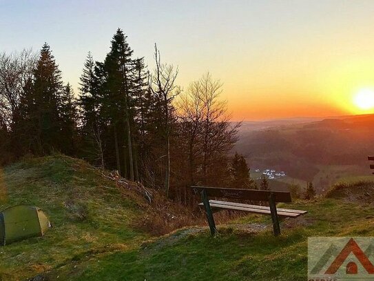 Baugrundstück am Waldrand, ideal für Familien und Naturliebhaber, nahe Winterberg