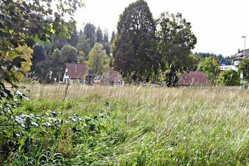 **Mit verwildertem Gartenparadies für Ihre Kinder** Ebenes Baugrundstück sofort verfügbar