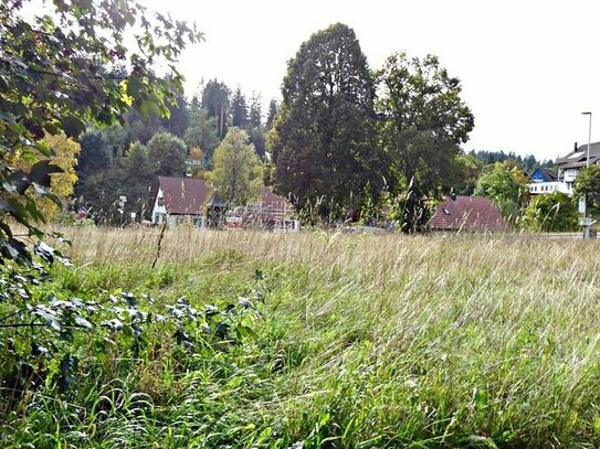 **Mit verwildertem Gartenparadies für Ihre Kinder** Ebenes Baugrundstück sofort verfügbar