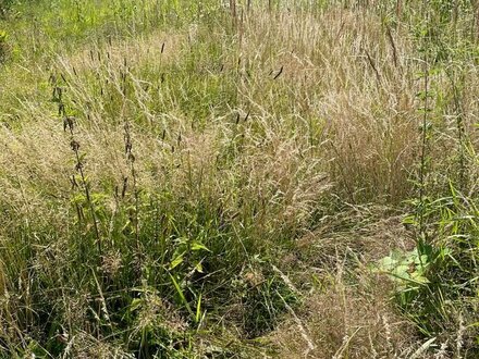 Baugrundstück für eine Wohneinheit im RHHstil in Stockelsdorf -Baugenehmigung inkl.-