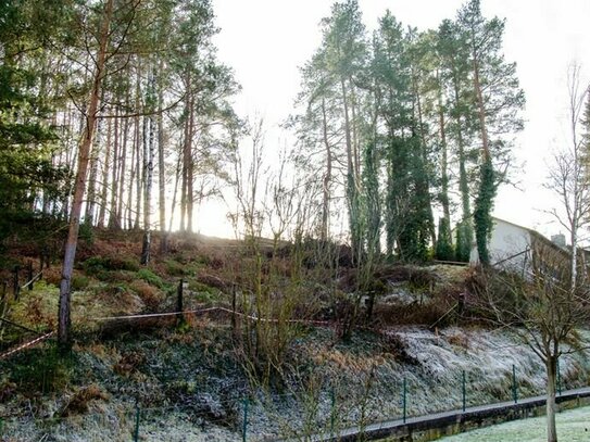 Baugrundstück in Hanglage in Finstermühle, erschlossen