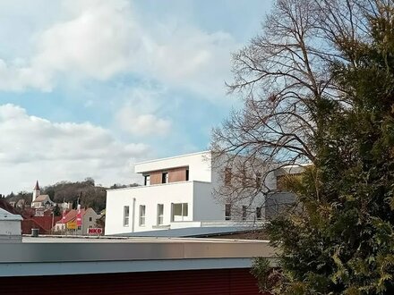 Neubau Penthouse-Whg. mit großer Dachterrasse und herrlichem Ausblick über Greding!