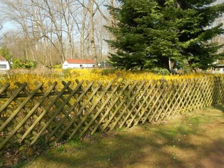 Leipzig- Holzhausen- Spitzenlage - gewachsene Siedlung- ruhig- grün !