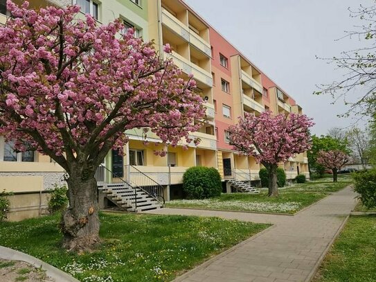 3 Raumwohnung mit Balkon, Küche und Bad mit Fenster