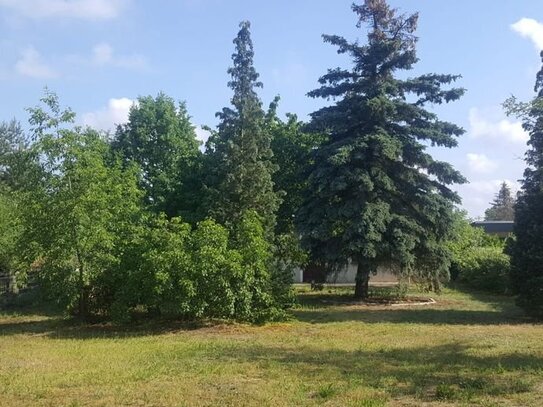 Erholung im eigenen Garten - Ideal für Familien (Bauerwartungsland)