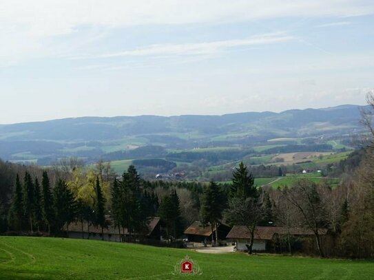 *Landkreis Straubing - Bogen* Märchenhafter, ca. 13.000 m² großer Landsitz in Alleinlage mit einem urigen Bauernhaus un…