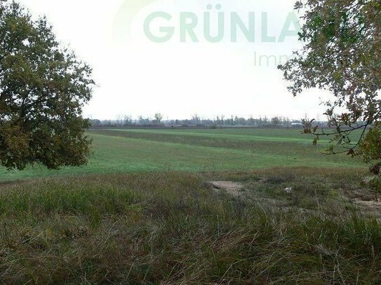 *Landwirtschaftliche Flächen Wald, Acker & Grünland zu verkaufen!*