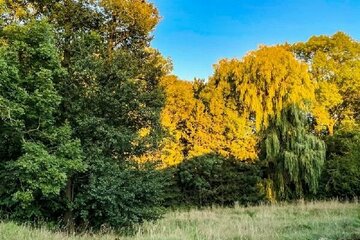 Naturnahes Leben ist gut für das Wohlbefinden!