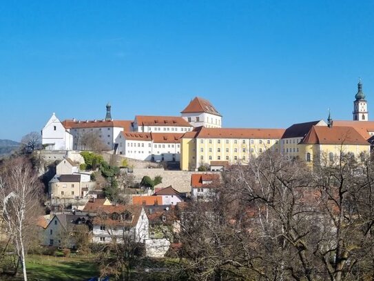 Neubau mit Schlossblick ( KFW 40 NH Haus )