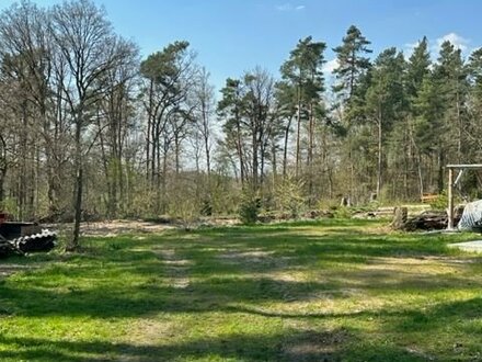 Schönes Waldgrundstück wartet auf Bauherrn mit Liebe zur Natur