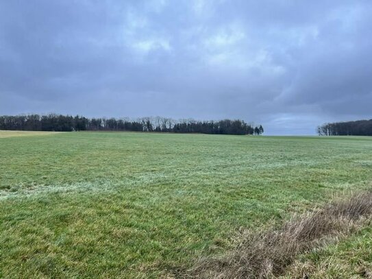 4,8ha landwirtschaftliche Fläche im Kreis Ansbach