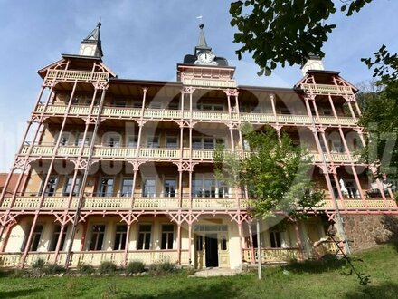 *400 m² eigener Garten - Luxus-Schloss mit Fernblick inmitten der Weinberge von Oberlößnitz* Altbau l Stuckdecken l Kam…