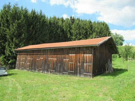 Freizeitgrundstück; Schöner Wald, Obstgarten und Maschinenhalle nähe Fürsteneck zu verkaufen.