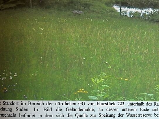 Grundstück 2,25 ha