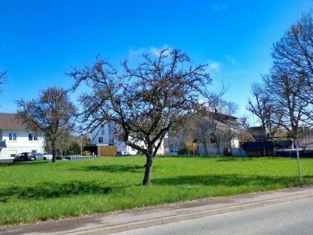 Großes Baugrundstück in sonniger Ortsrandlage von Emmingen