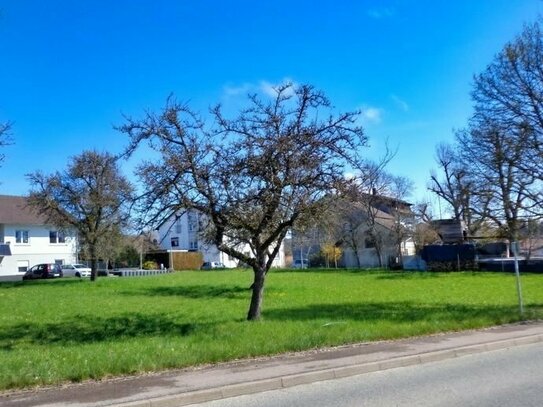 Großes Baugrundstück in sonniger Ortsrandlage von Emmingen