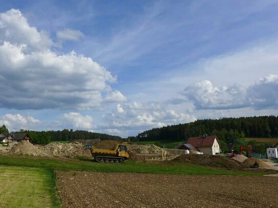 Leben auf dem Lande in Ohrenbach bei Auerbach