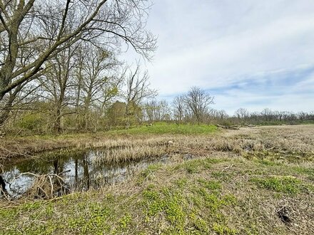 3,8 ha Wald-/Landwirtschaftsfläche und Unland