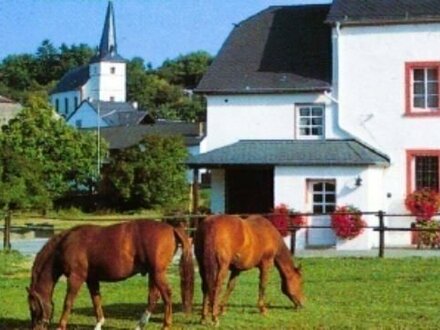 Bauernhof ideal auch für Pferdeliebhaber, so nah an Trier und Luxemburg, sehr schöne und gute Lage mit 38 ha Eigenland
