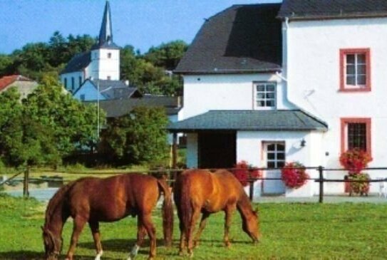 Bauernhof ideal auch für Pferdeliebhaber, so nah an Trier und Luxemburg, sehr schöne und gute Lage mit 38 ha Eigenland