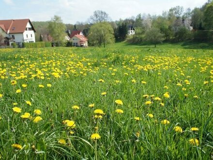 Land und Forstwirtschaft in Emmendingen (79312)