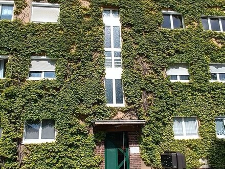 1 Raum Wohnung 2.OG mitte Am Tonteich 1 in Eisenberg