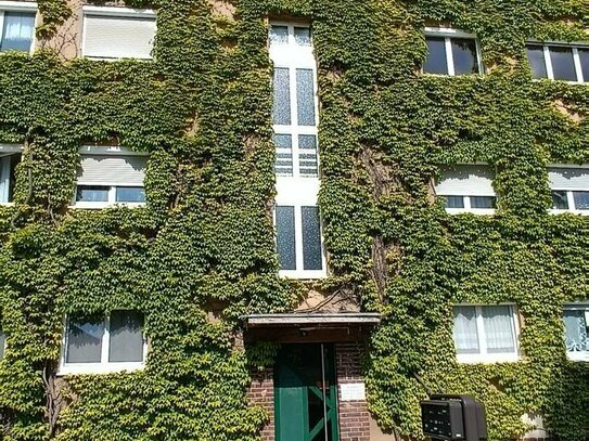 1 Raum Wohnung 1.OG mitte Am Tonteich 1 in Eisenberg