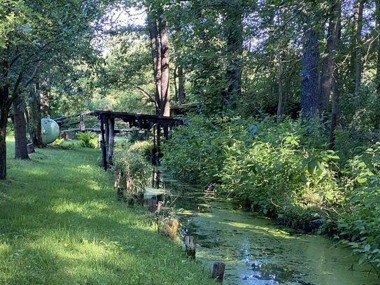 Teilbares Grundstück - Märchenhafte Idylle mitten im Spreewald - 15.787 m² groß -