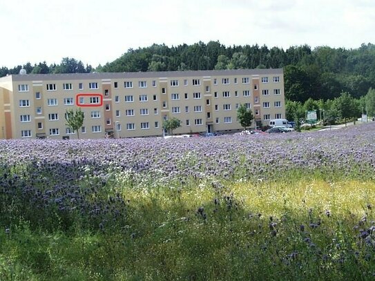 3-Raumwohnung mit Blick ins Grüne sucht neue Mieter.