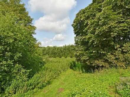 Seltene Gelegenheit: Traumhaftes Baugrundstück mit Billezugang und ca. 2.931 m² mitten im Dorfkern