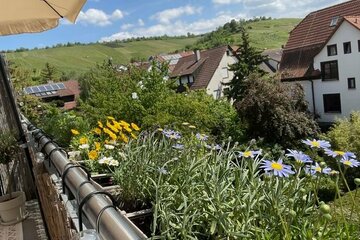 Lust auf "Blick auf die Weinberge"? Helle, kernsanierte 3-Zimmer-Maisonette-Wohnung, mit Balkon!