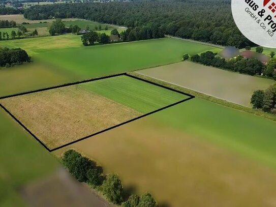 Attraktive Weidefläche mit 11.201 m² - Ideale Lage für Landwirtschaft