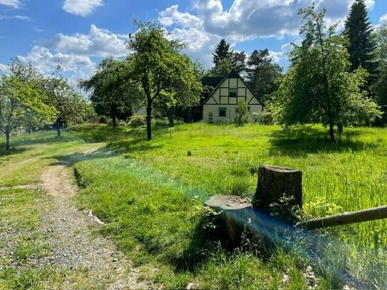 Wunderschön gelegenes Einfamilienhaus mit Einliegerwohnung im Bergischen Land - nahe Bonn und Köln