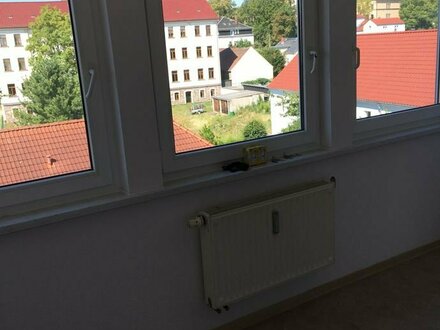 Helle 3-Raum DG Wohnung in Oschatz