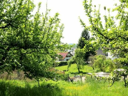 Grundstück mit Altbestand in Hang/Waldrandlage für Naturliebhaber in Altenstadt/Iller