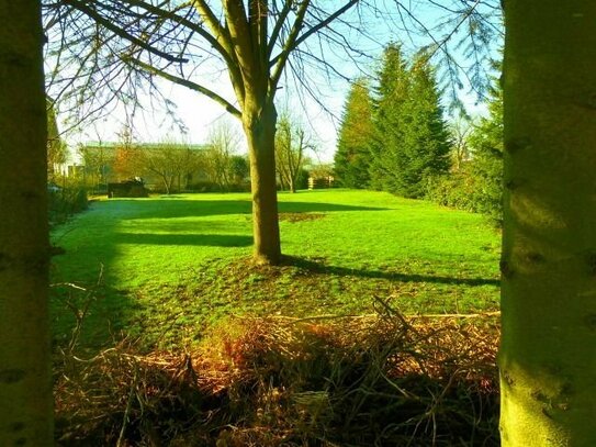 Baugrundstück in ruhiger Lage von Krempe