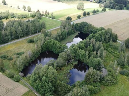 1 ha Freizeitgrundstück mit zwei Teichen und Fischerhütte