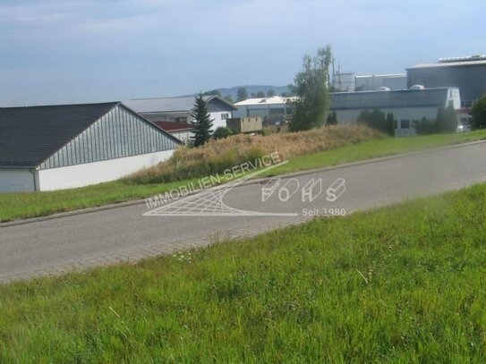 Hallen/Produktion/Serviceflächen 850 m²(teilbar) im EG in Vöhringen/Württ. 3 km bis A 81