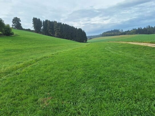 Landwirtschaftliche Fläche Landkreis Landshut