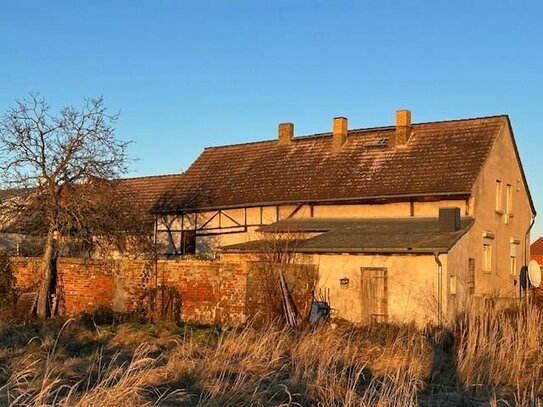 Stark sanierungsbedürftiges Haus auf 1.700 m² großem Grundstück im Zerbster / Ankuhn