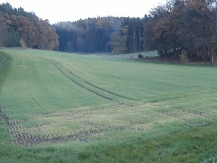 Ackerfläche, Grünland, Wald Dingolfing-Landau 11,74 ha