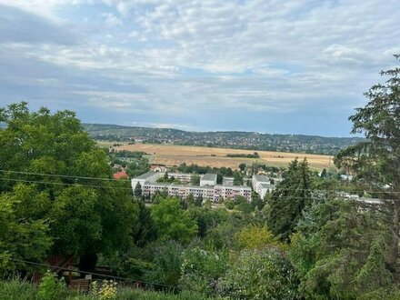 EFH mit Weitblick in Dresden-Cossebaude