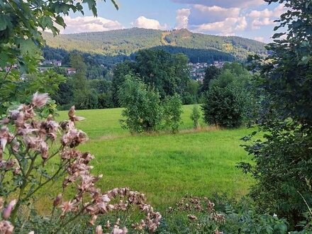 Ein wahres Juwel - weitläufiges Freizeitgrundstück mit traumhaftem Blick auf den Silberberg in Bodenmais