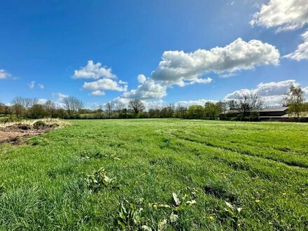 Bauen Sie Ihr Traumhaus - Baugrundstück für Einfamilienhaus in Kisdorf