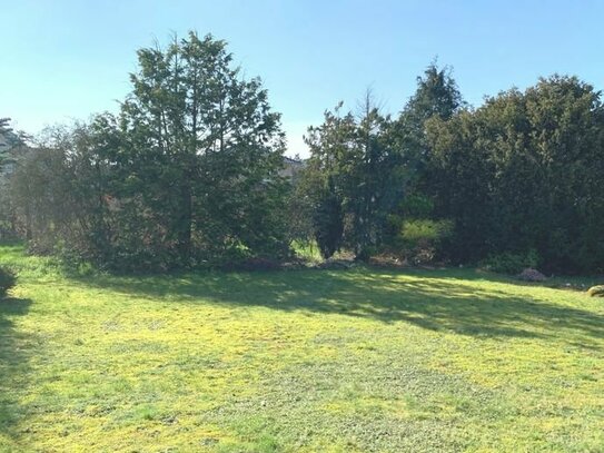 Schönes Grundstück in ruhiger Lage in Schierbrok (ohne Baubindung)