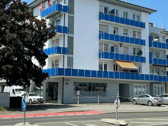 gemütliche 2 Zimmerwohnung mit wunderschönen Ausblick auf den Hohentwiel auf eigenen Balkon